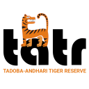 Tadoba Safari Booking Helper (TATR)