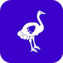 Ostrich : Cashflow Analysis for Zillow