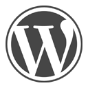 WordPress Checker