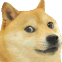 libdoge