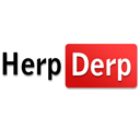 Herp Derp for YouTube™