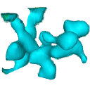 Quantum Random Number Generator