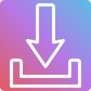 IG Video Downloader