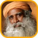 Daily Sadhguru Quotes