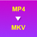 MP4 to MKV Converter