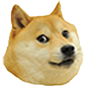 Dogestracted