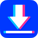 Mass Tiktok Video Downloader