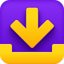 Download Manager Pro