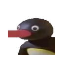 NOOT NOOT