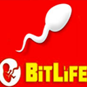 BitLife Simulator for Chrome