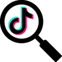 TikTok Keyword Searcher Extension