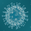 Coronavirus Cases