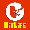 BitLife Classroom 6x