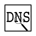 DNS INFO