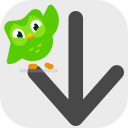 Duolingo Vocabulary Downloader