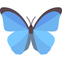 Daily Butterflies New Tab