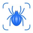 Search Spider