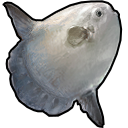 Add Ocean Fish to FF14 Fish Tracker