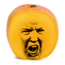 Trump to Angry Mango