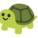 Focus Turtle