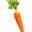 a carrot