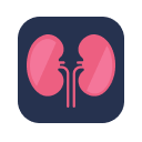 Creatinine Clearance Calculator