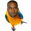 Kanye Parrot