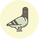 pigeon - send to telegram