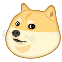 Doge My Site