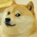 Doge for Chrome