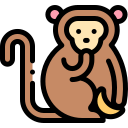 SBC Monkey. One click SBC solver