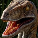 Velociraptor