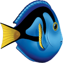 DORy