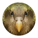 Kakapo for Chrome