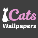 Cats Wallpapers