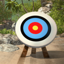 3D Archery Master