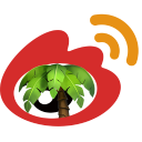 Rainforest·Weibo Assistant  One-click block comments and likes