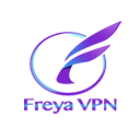 FreyaVPN VPN Extension