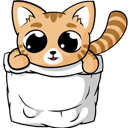 CutieCats - New tab images of cats & kittens